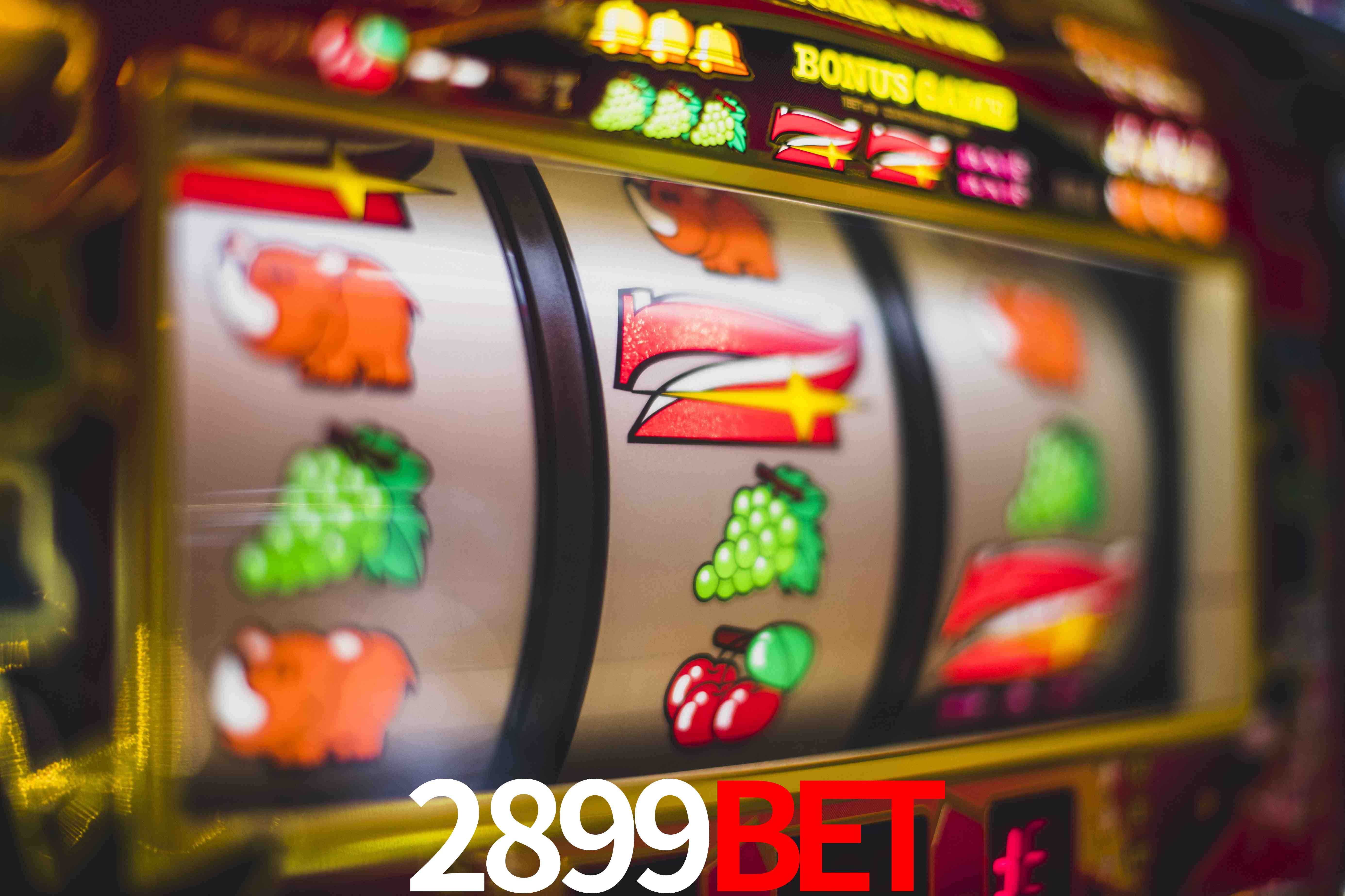 Sports Statistics 2899bet